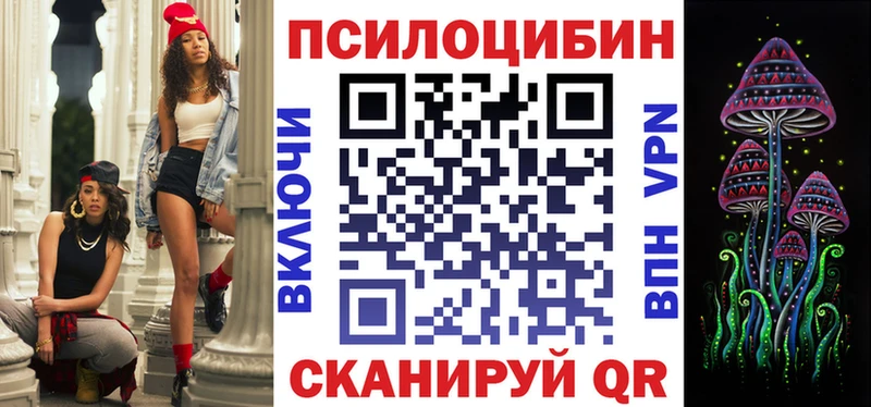 закладки  Нерчинск  Псилоцибиновые грибы Cubensis 